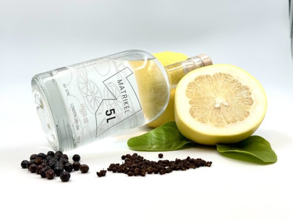 HVID 10 Gin fra MATRIKEL 5L – Unik smagsoplevelse